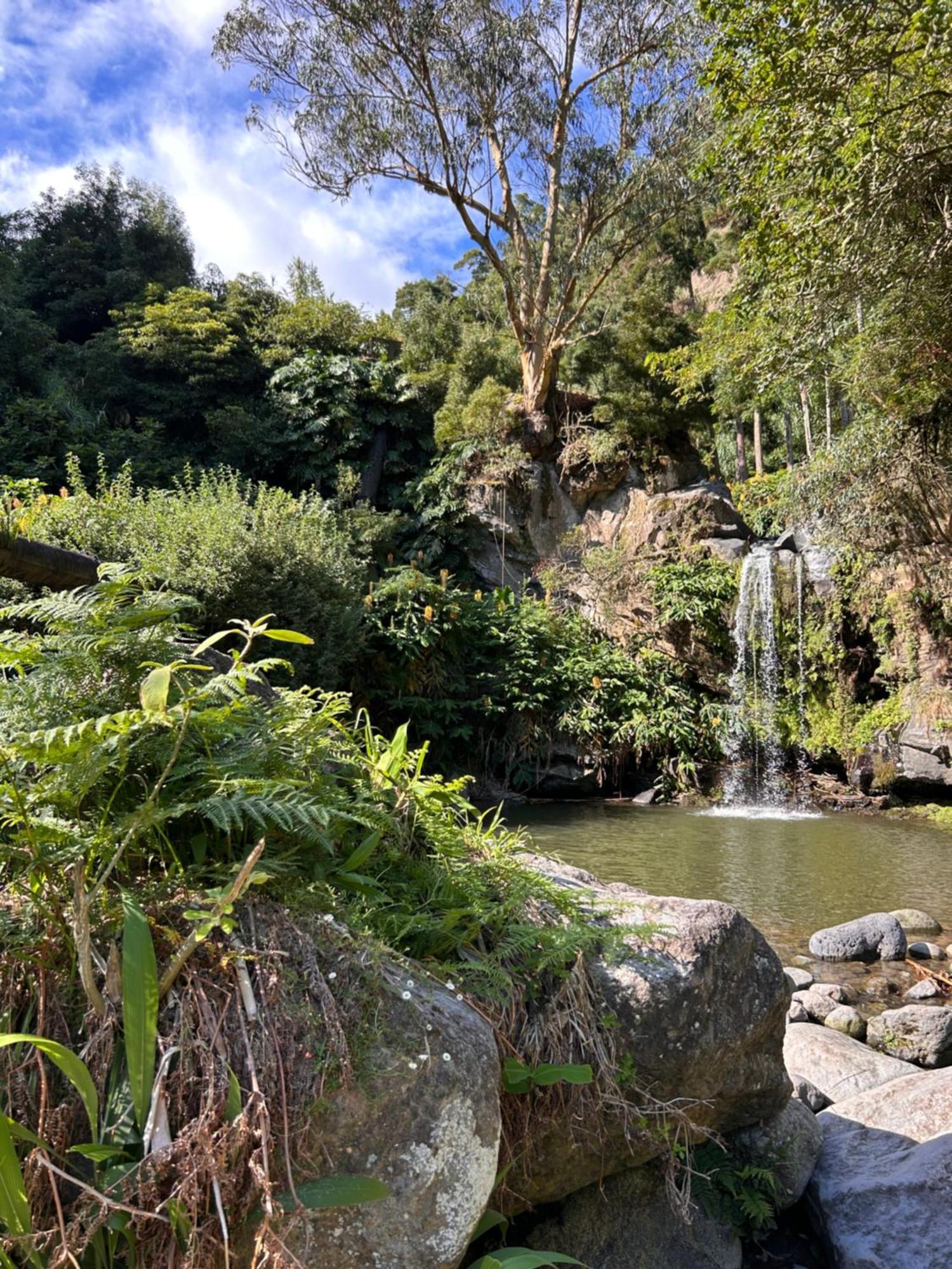 Eco Surflodge Azores 大里贝拉 外观 照片